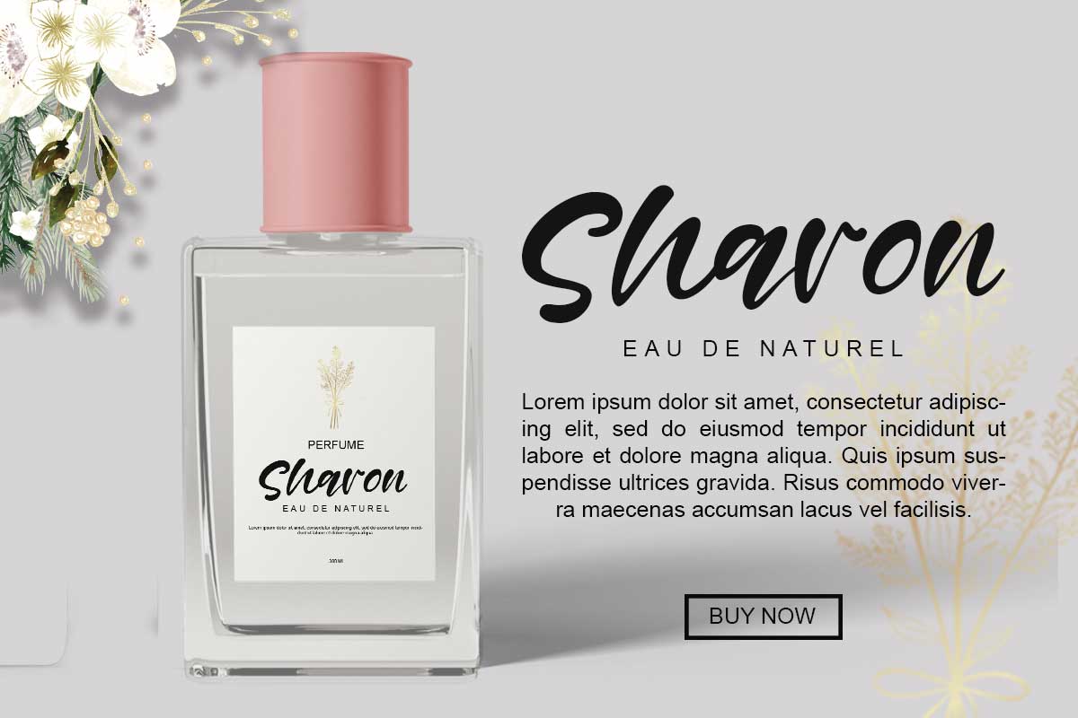 Windy Allan - Image 6