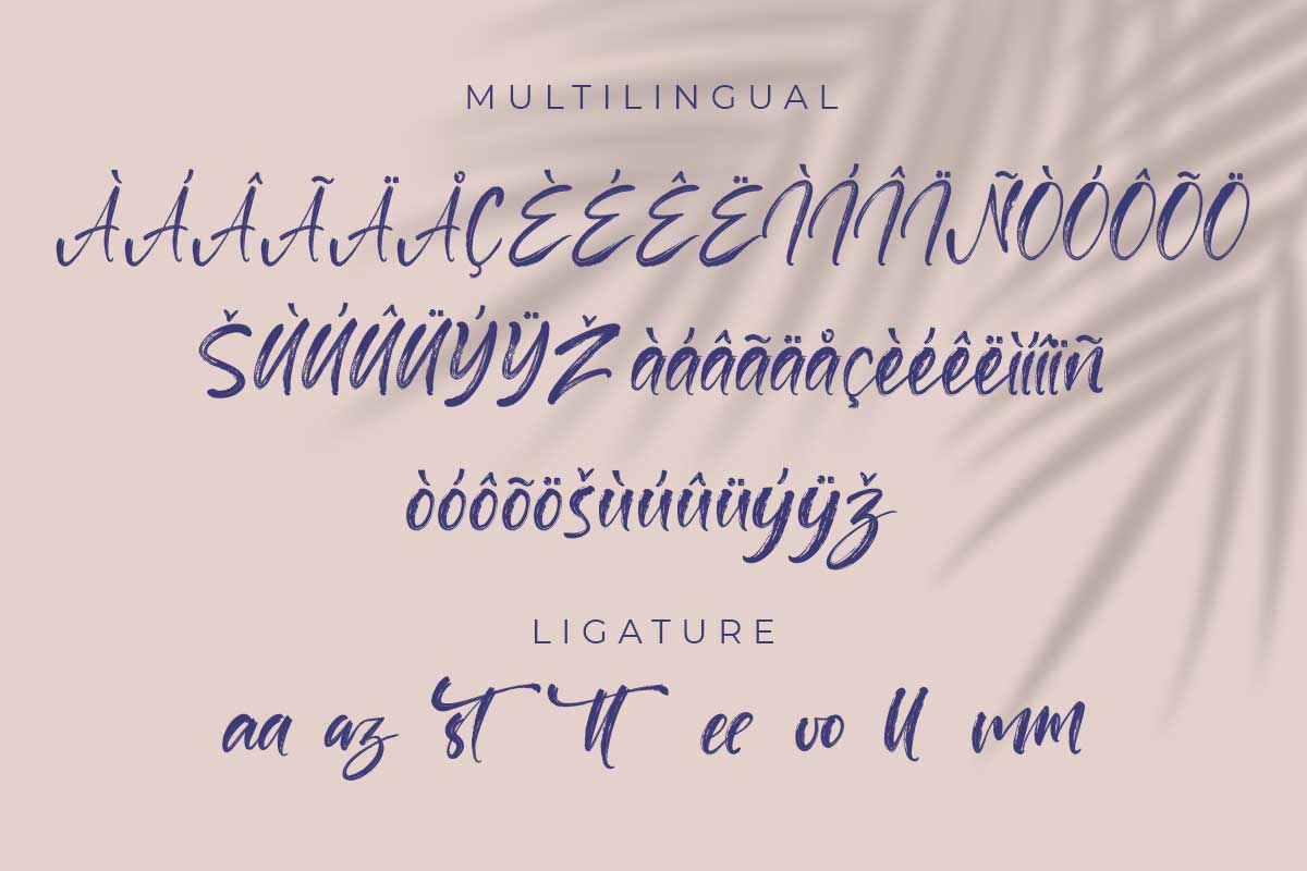 Patriciaz Brush Font - Image 10