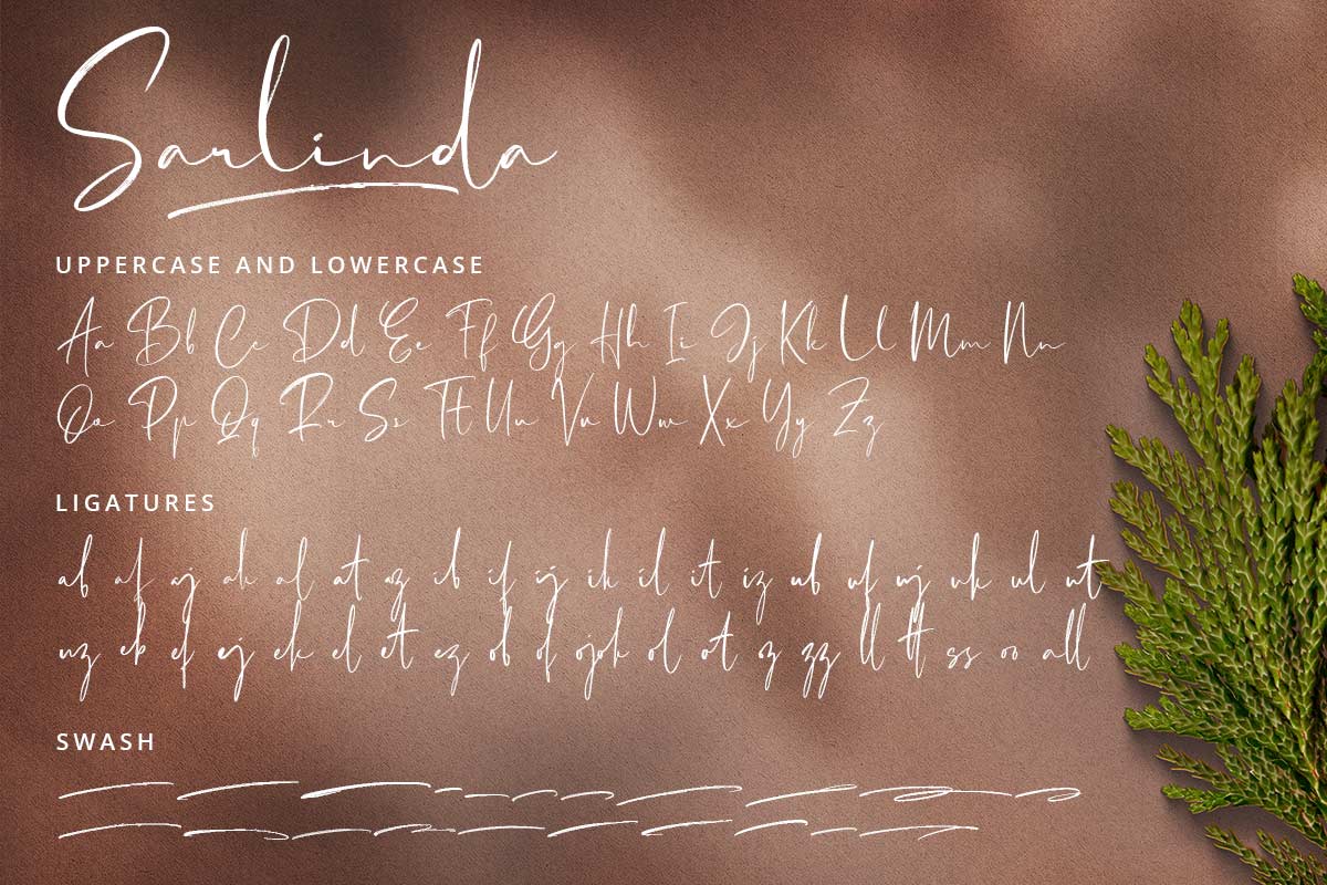Sarlinda Brush Font - Image 8