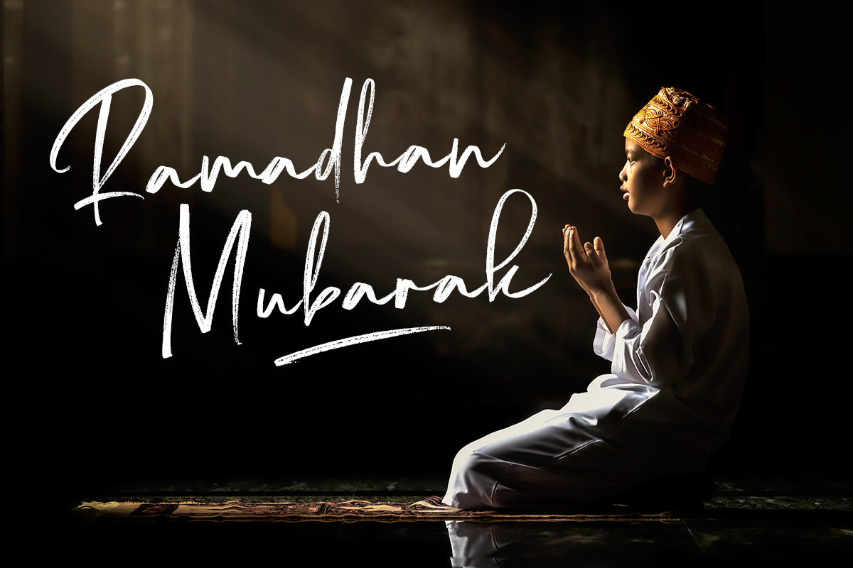 Sharilla Rough Font - Image 7