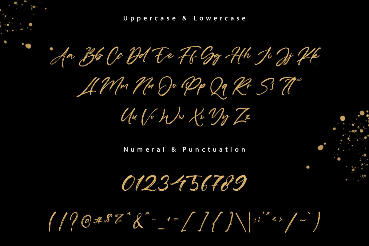 Stevekeith Handwritten Brush Font - Image 9