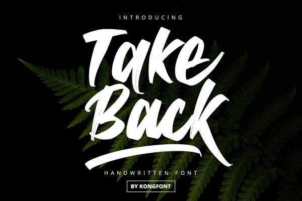 Take Back Script Font - Image 2