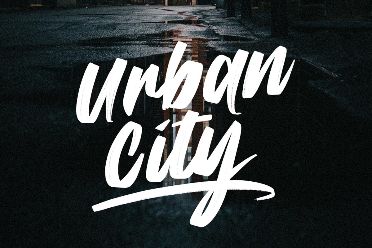 Take Back Script Font - Image 3