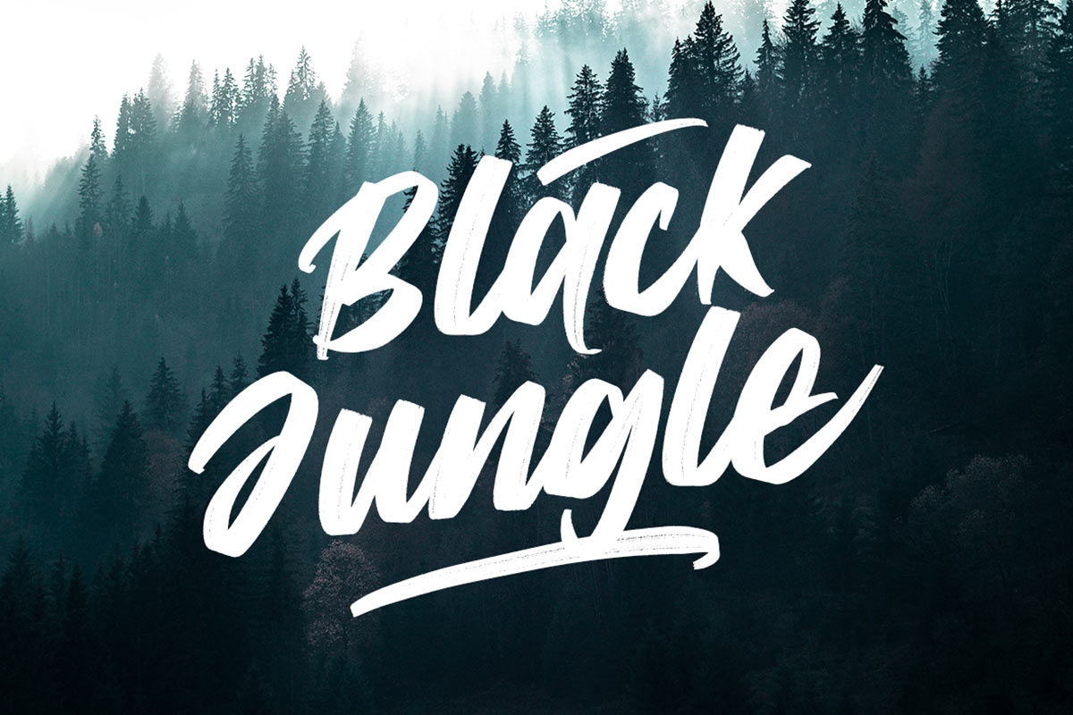 Take Back Script Font - Image 4