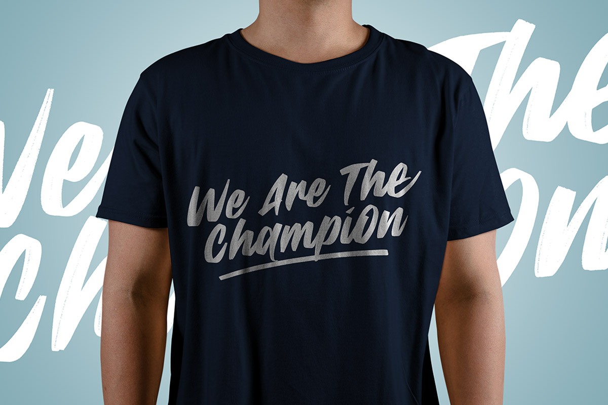 Take Back Script Font - Image 5