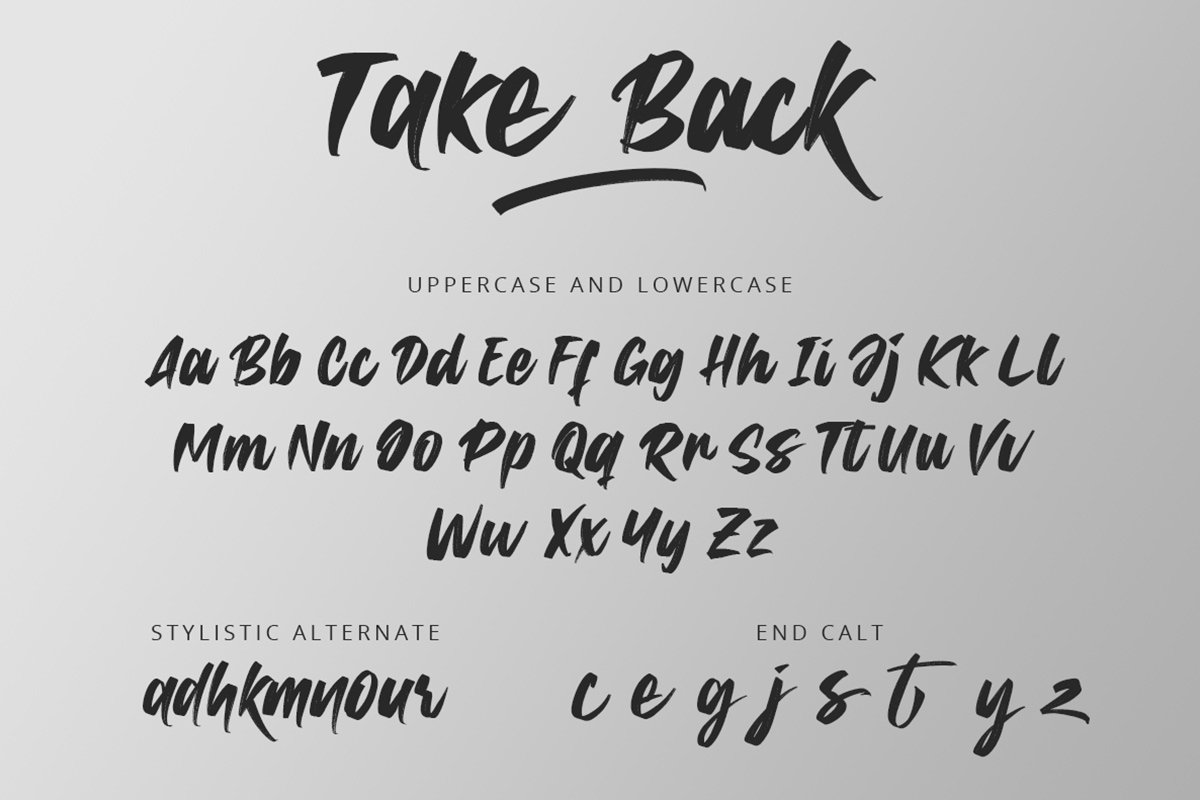 Take Back Script Font - Image 8