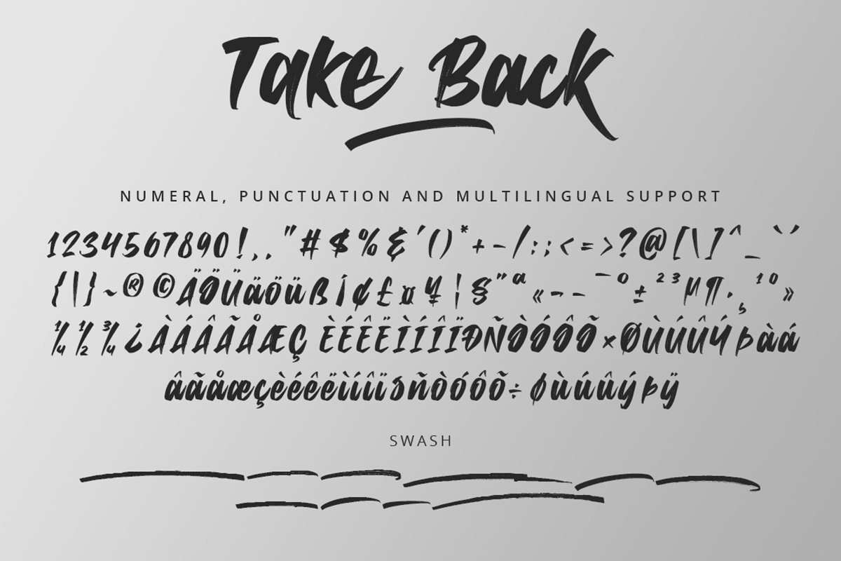 Take Back Script Font - Image 9
