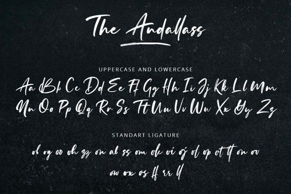 The Andallass Handwritten Font - Image 8