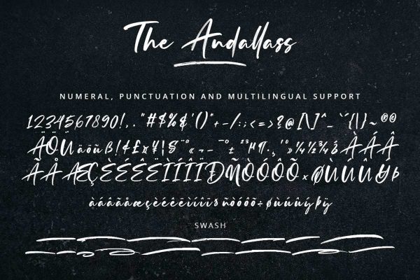 The Andallass Handwritten Font - Image 9