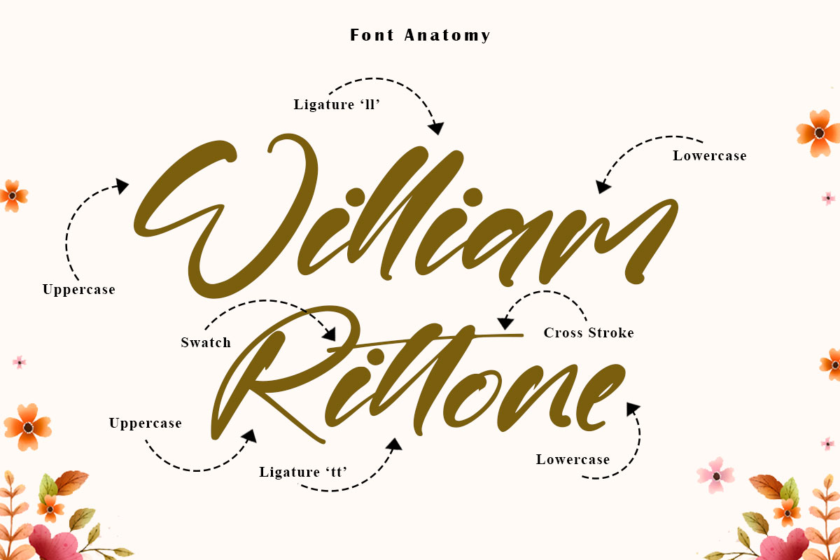 Willard Script Font - Image 3