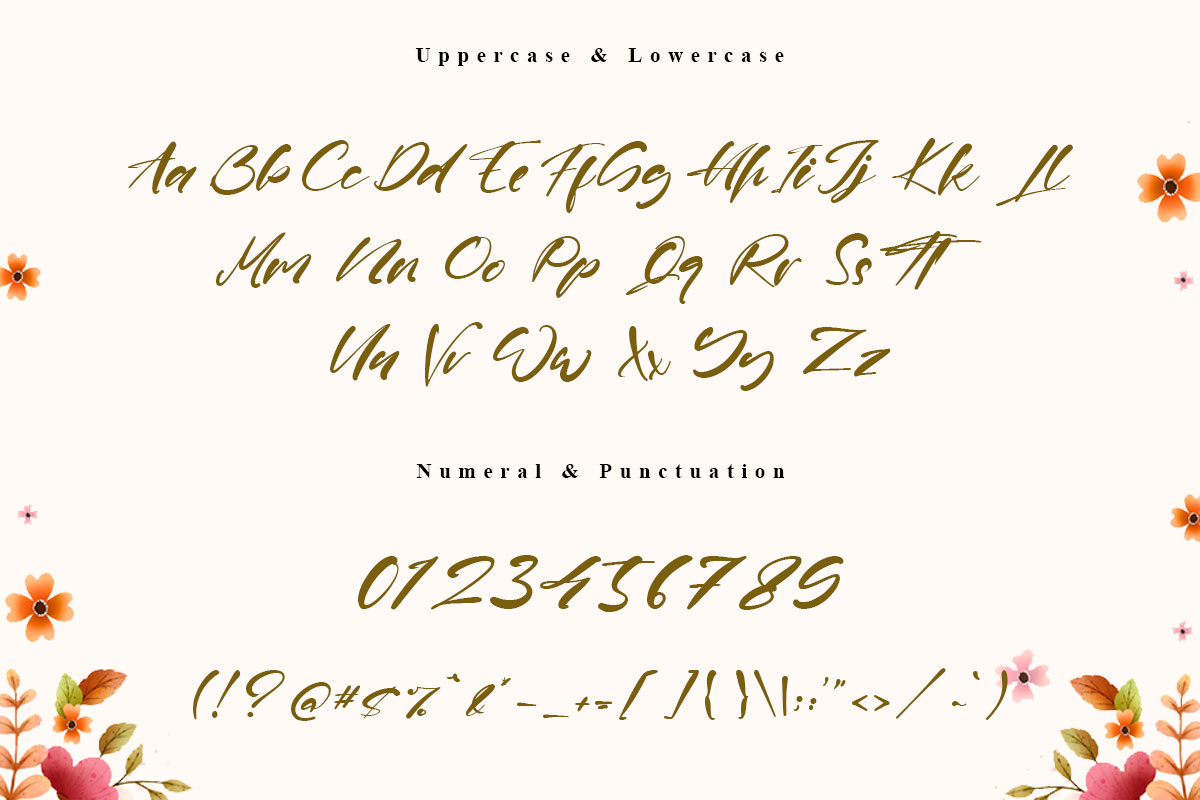 Willard Script Font - Image 9