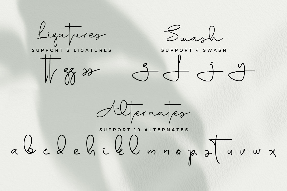 Aline Signature Font - Image 9
