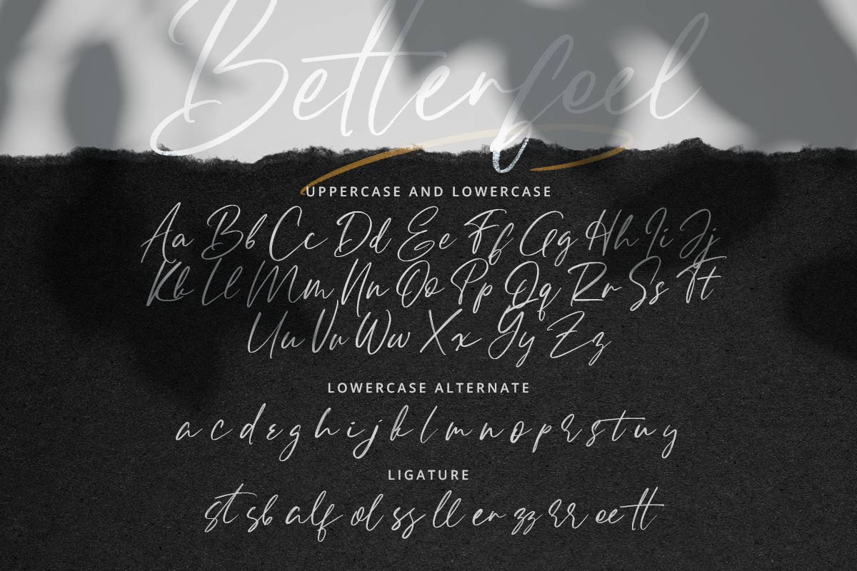 Betterfeel Rough Font - Image 9