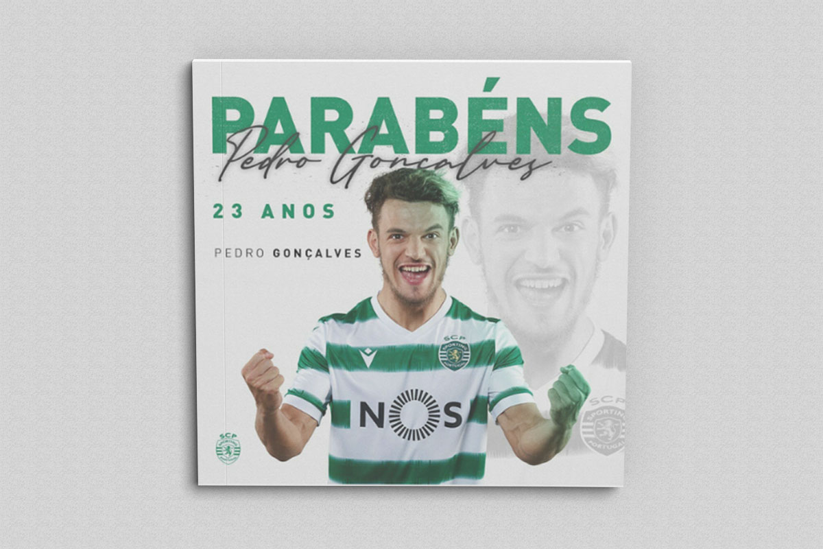 England Signature - Image 8