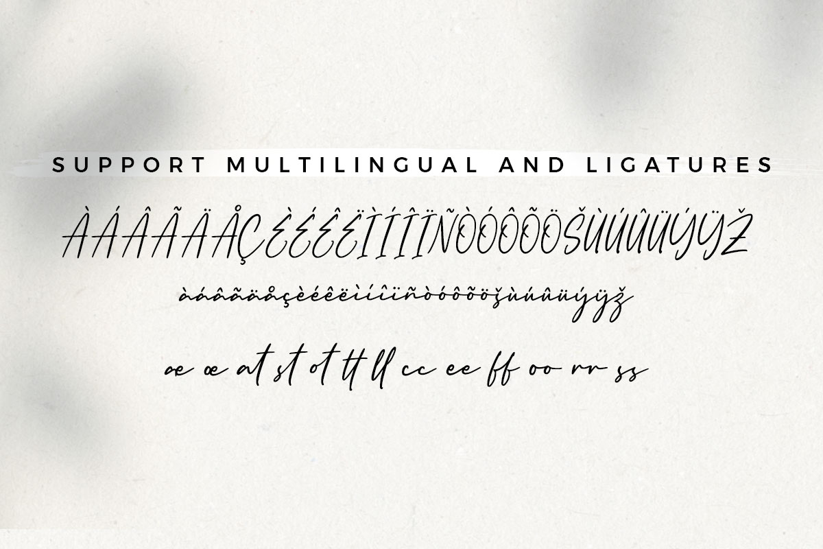 England Signature - Image 9