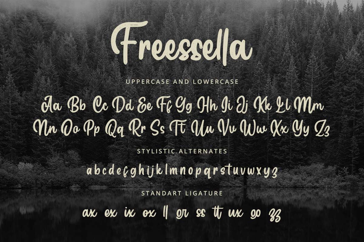Freessella Handwritten Font - Image 8