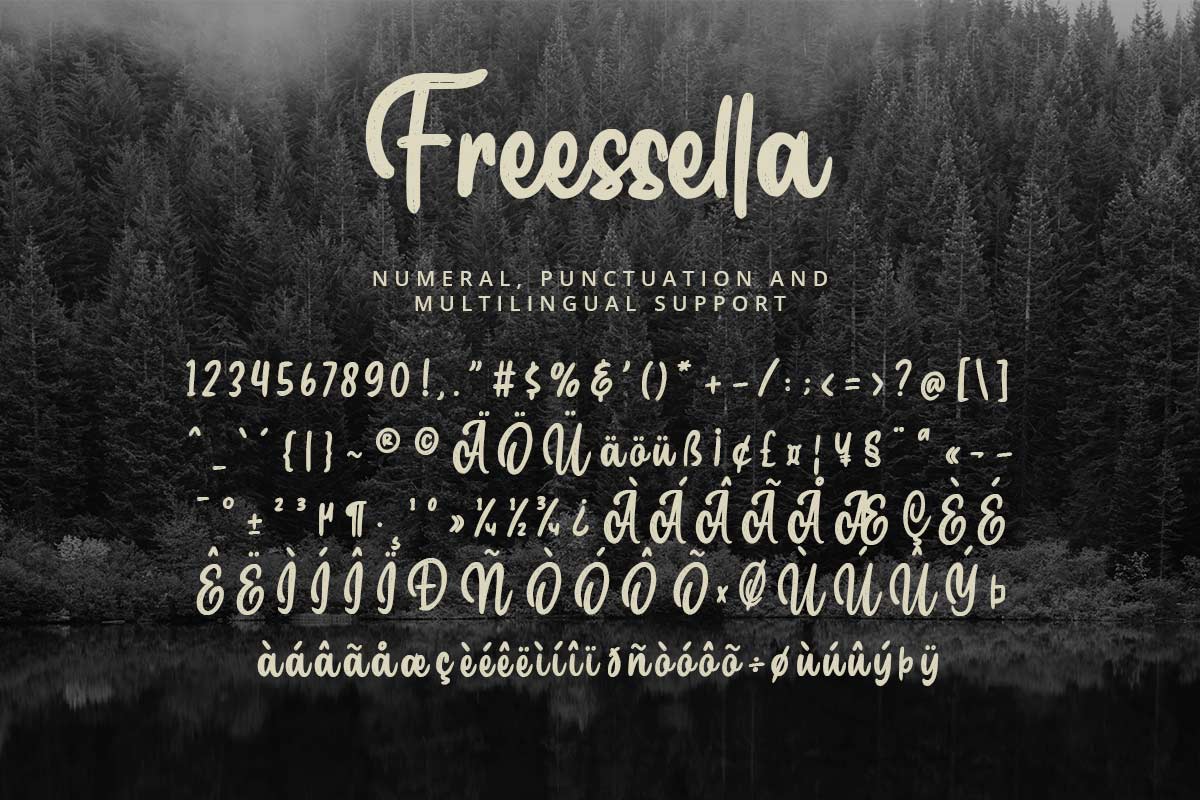 Freessella Handwritten Font - Image 9