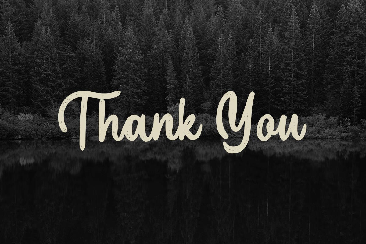 Freessella Handwritten Font - Image 10