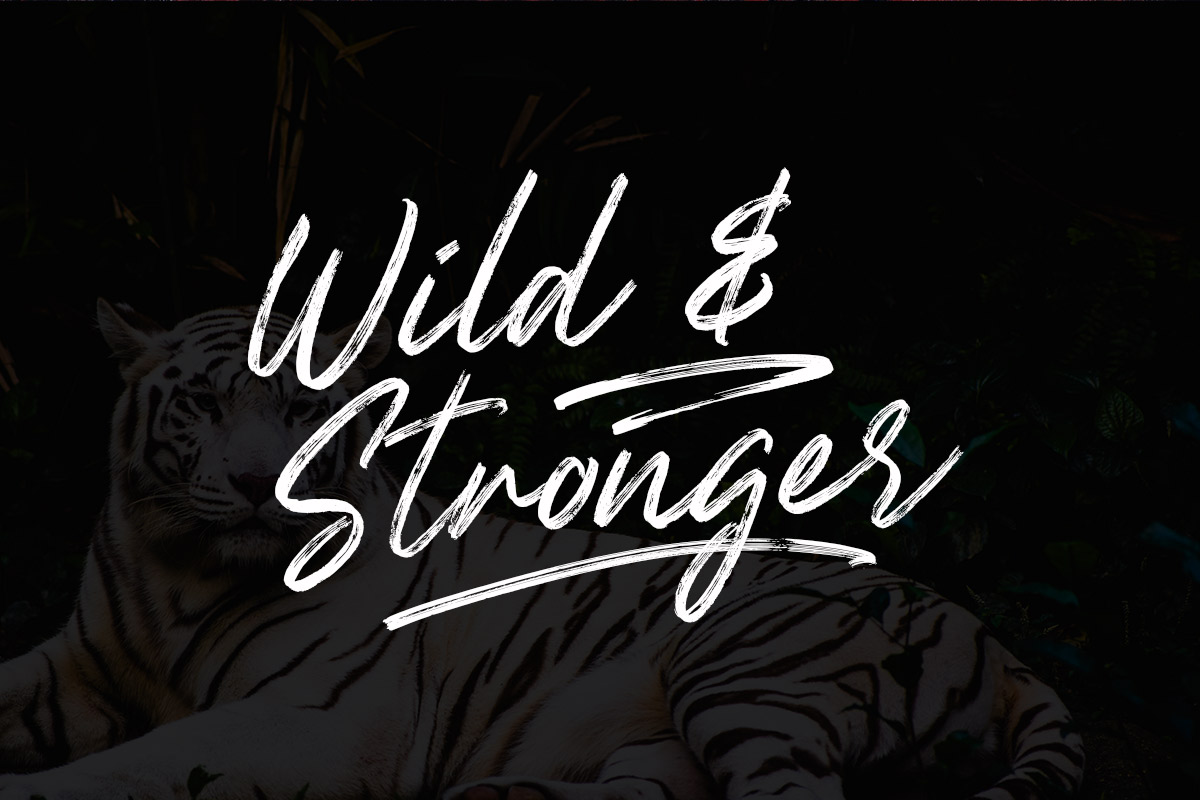 Mayoritte Brush Font - Image 3