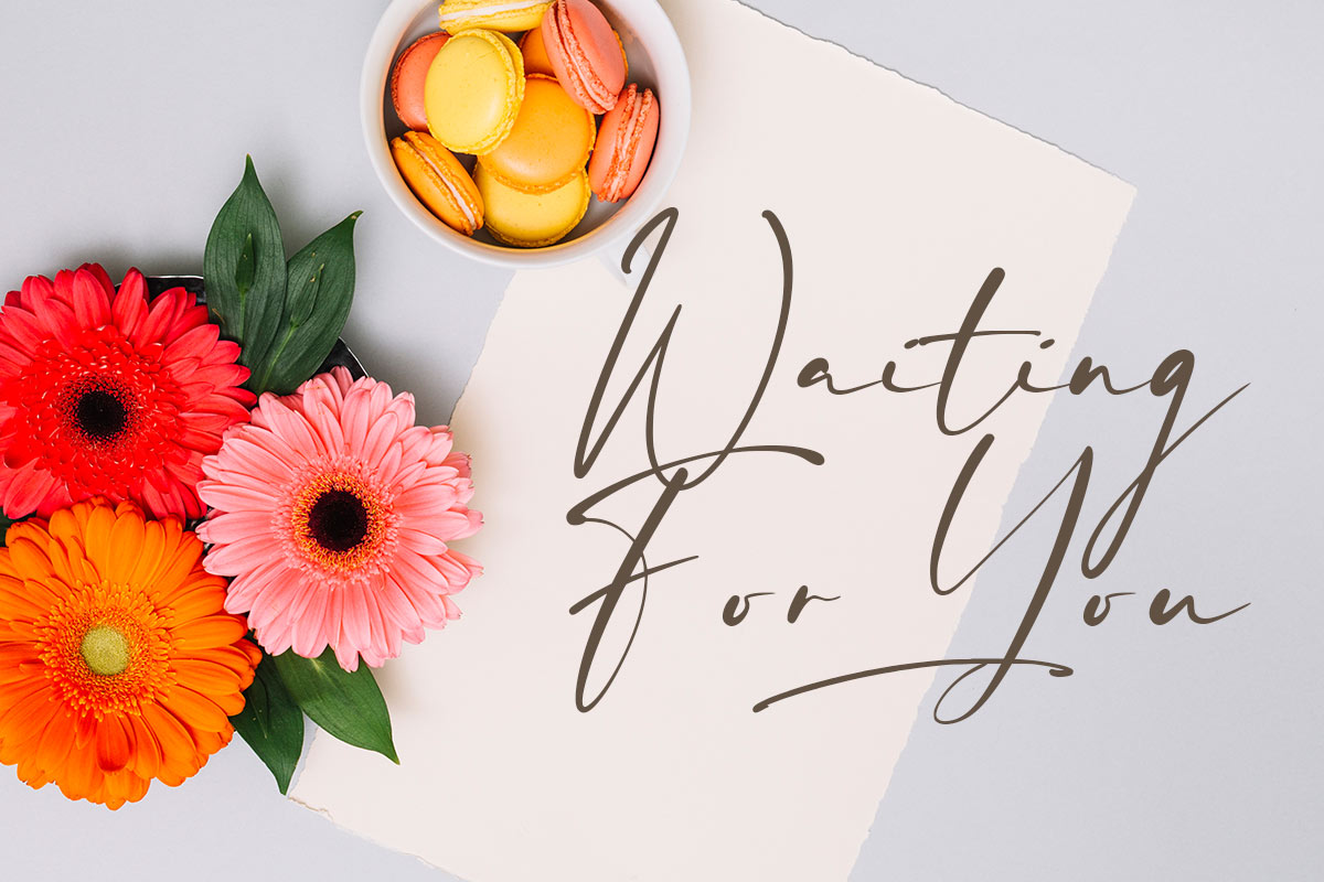 Milla Signature Font - Image 3