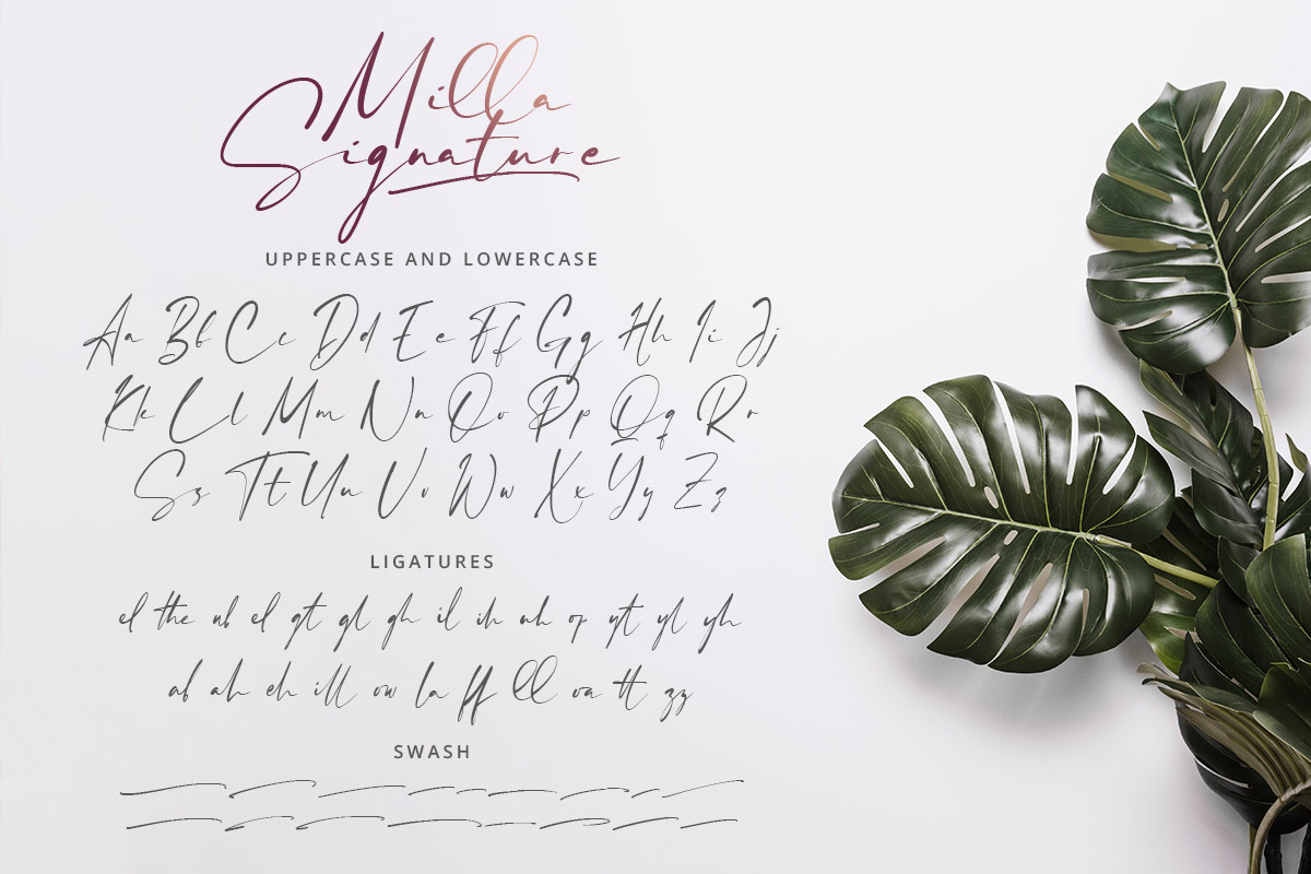 Milla Signature Font - Image 8
