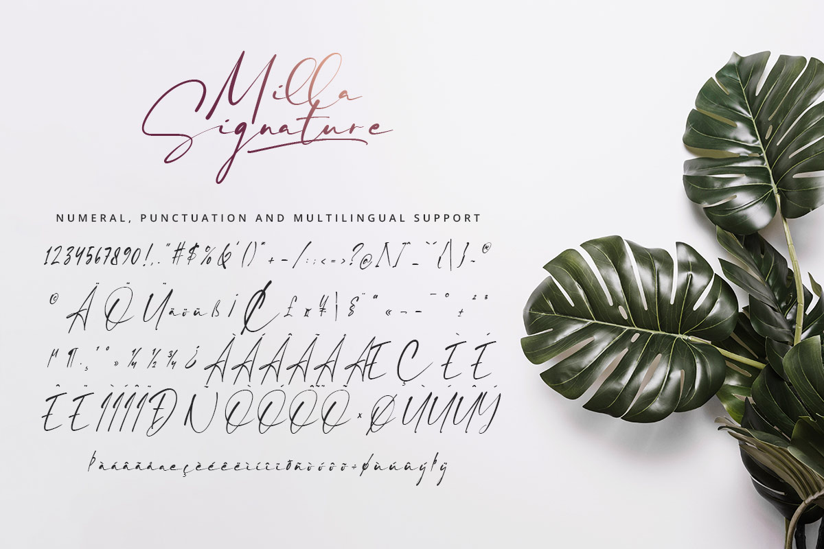 Milla Signature Font - Image 9