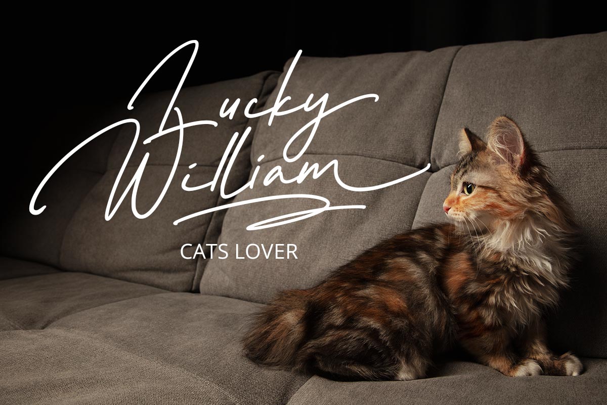Sweetcatty Signature Font - Image 4