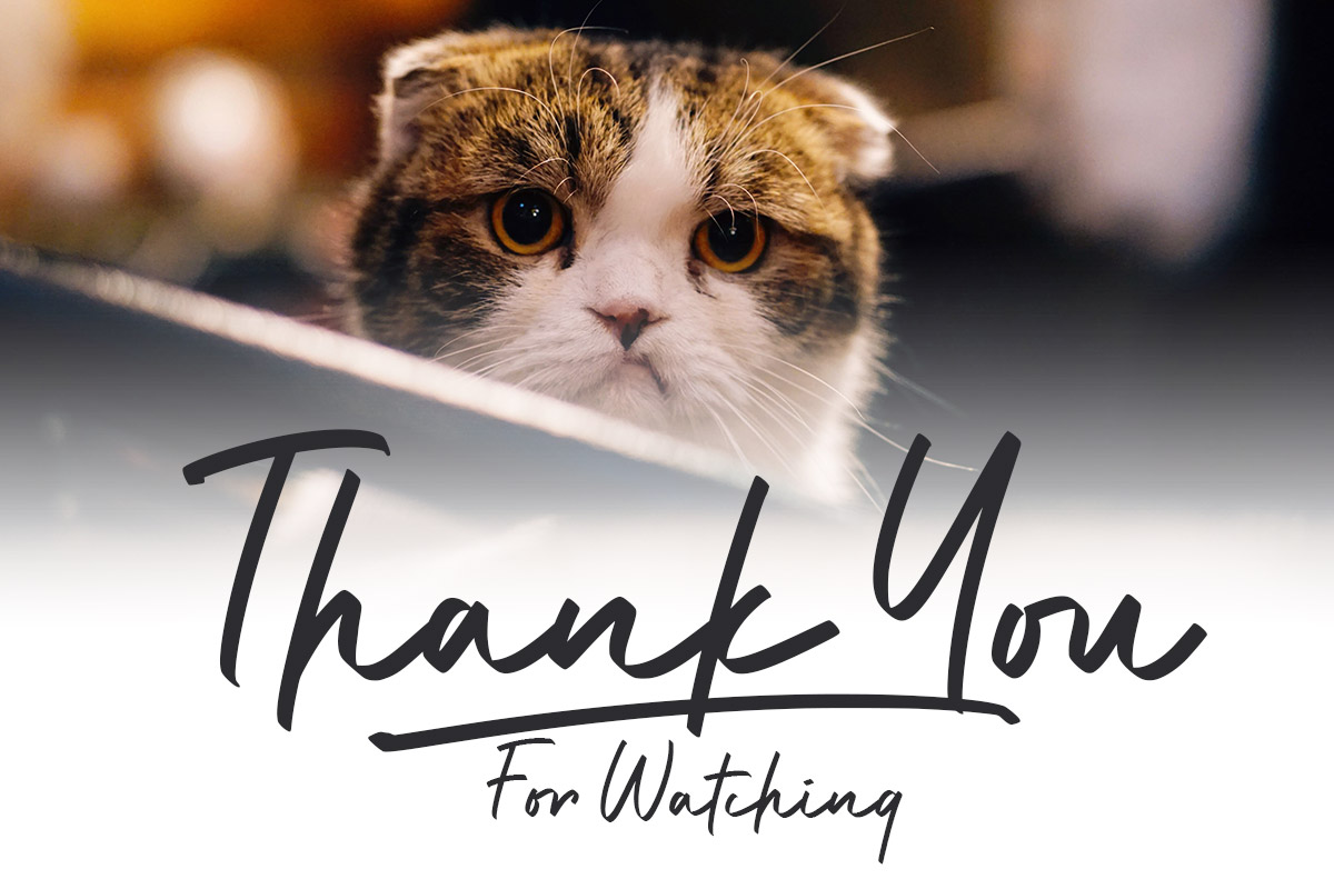 Vanillata Handwritten Font - Image 11