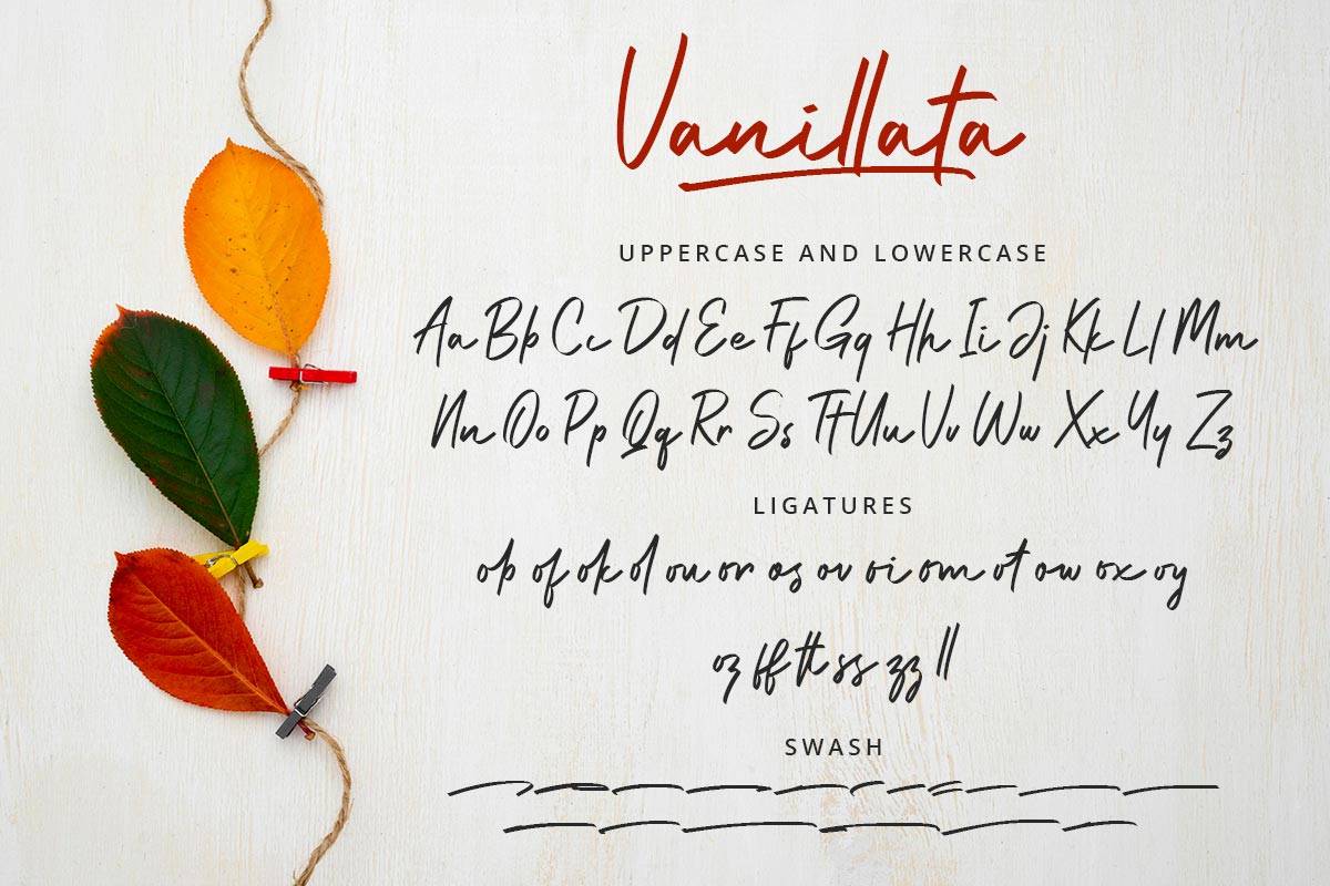 Vanillata Handwritten Font - Image 9