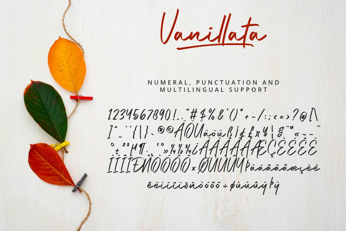 Vanillata Handwritten Font - Image 10