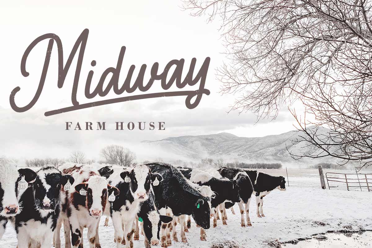 Smile Dream Monoline Font - Image 4