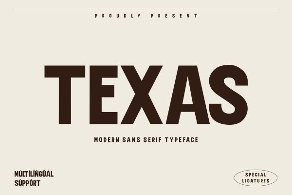 Texas Sans Serif Font - Image 2