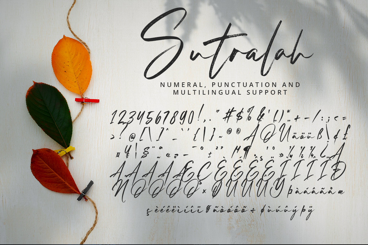 Sutralah Thin Brush Script Font - Image 11