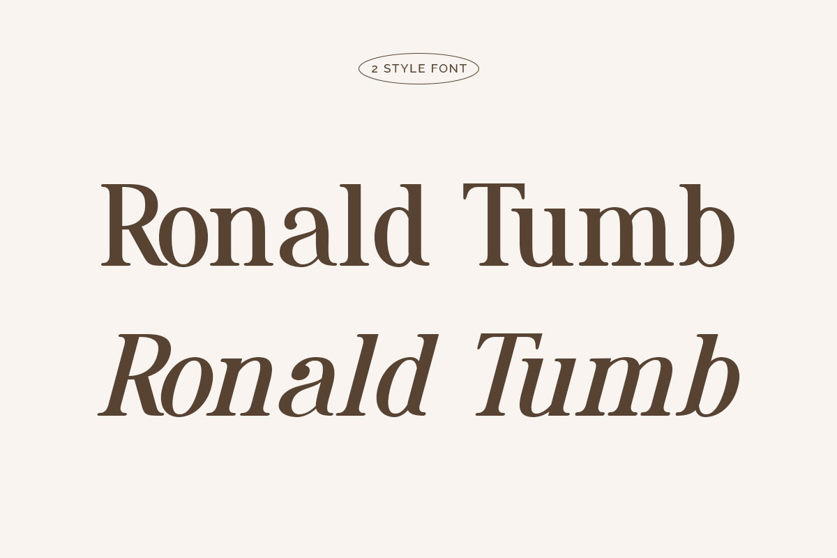 Ronald Tumb Serif Vintage Font - Image 3
