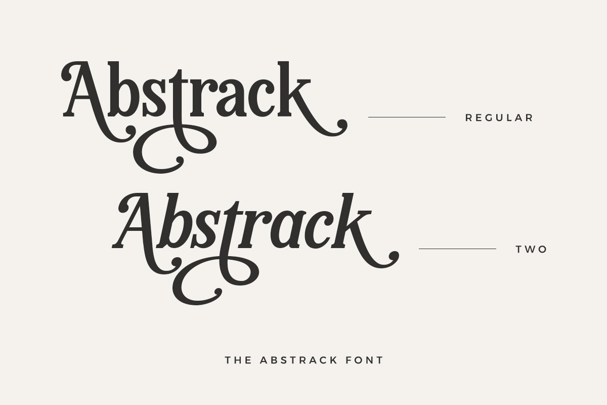 The Abstrack Serif Vintage Font - Image 3