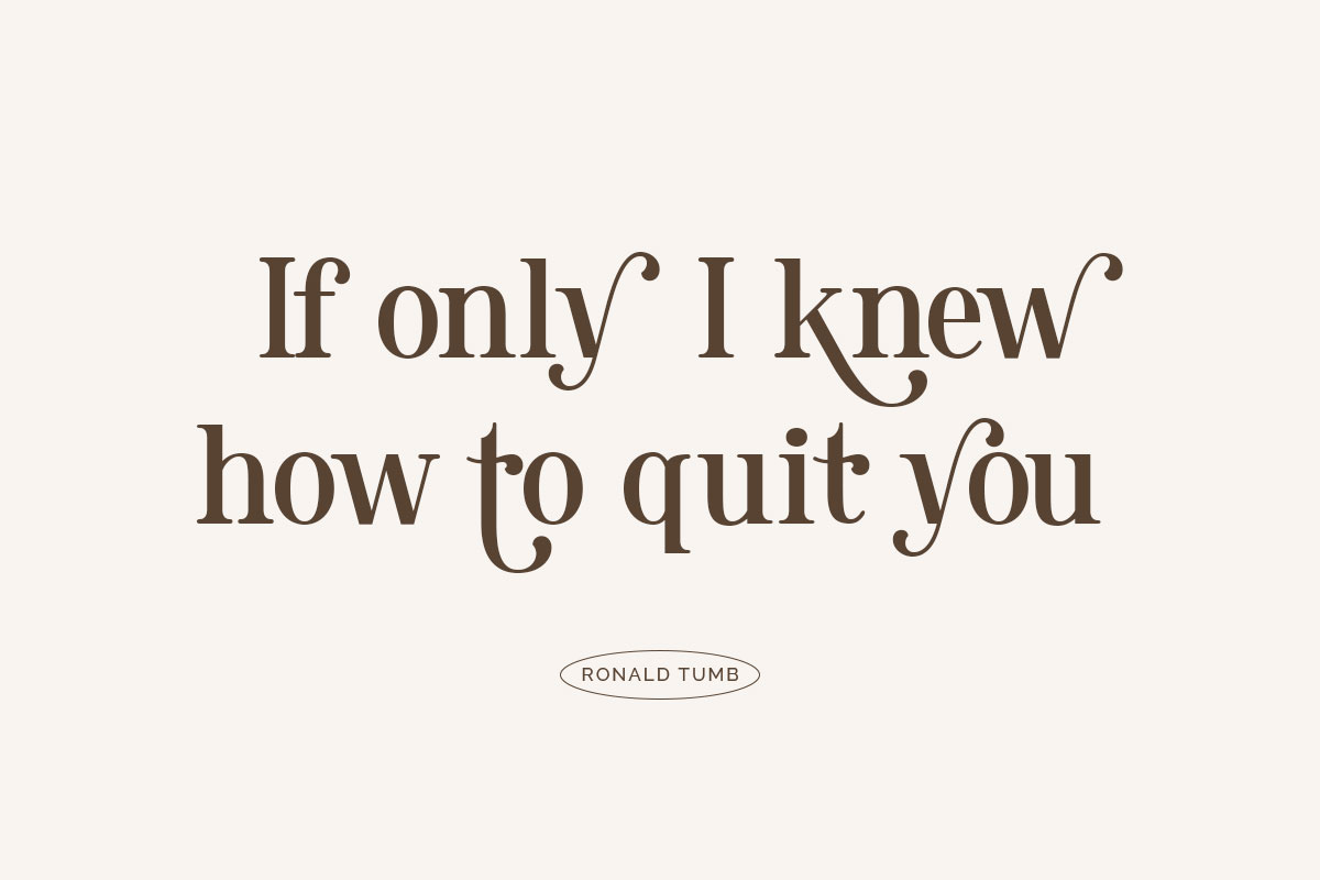 Ronald Tumb Serif Vintage Font - Image 6