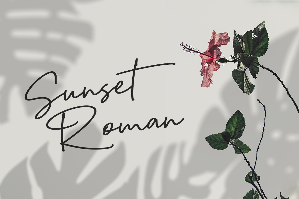 Smart Hallen Modern Script Font - Image 6