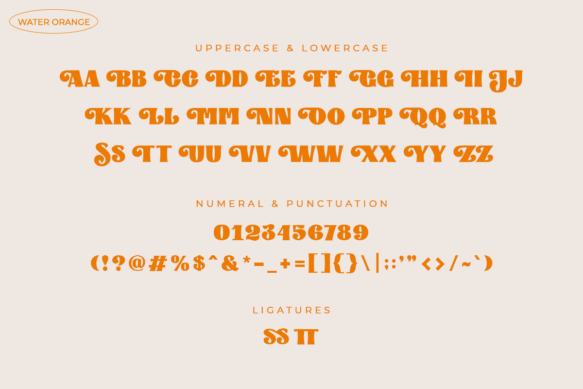 Water Orange All Caps Serif Vintage Font - Image 8