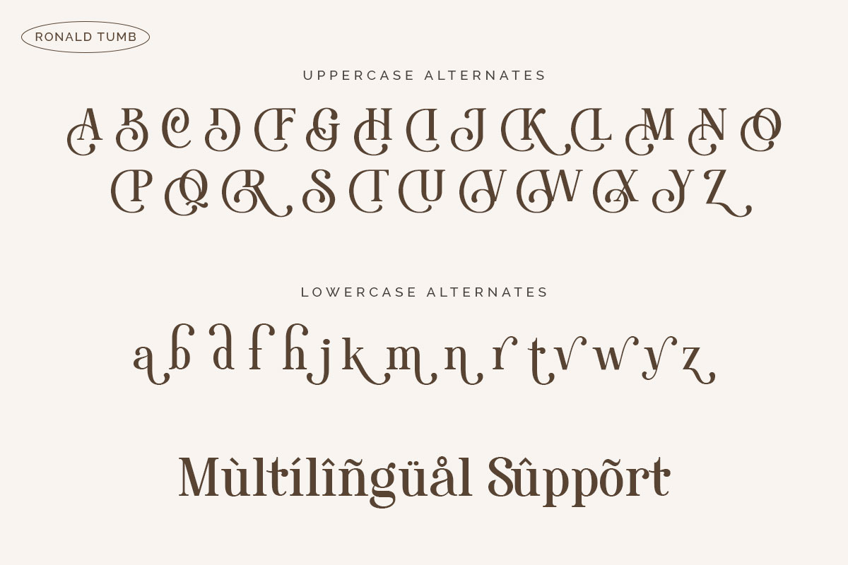 Ronald Tumb Serif Vintage Font - Image 9