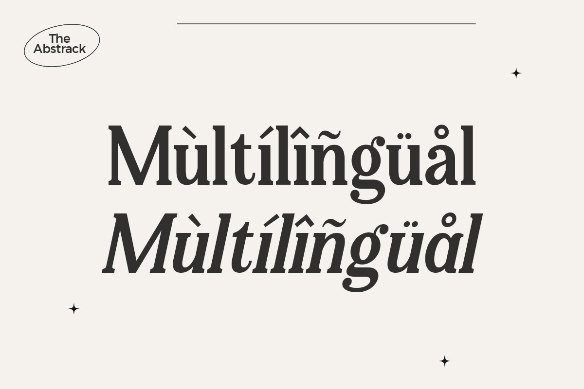 The Abstrack Serif Vintage Font - Image 9