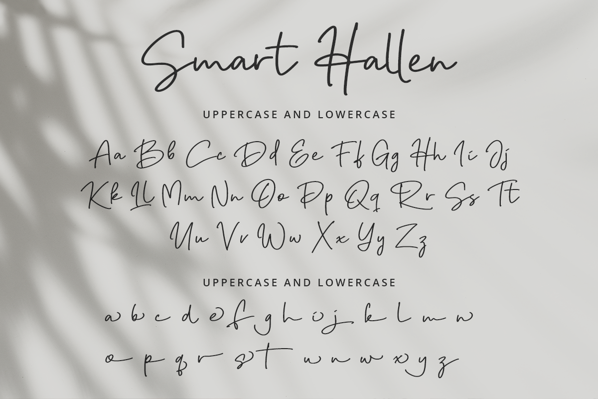 Smart Hallen Modern Script Font - Image 9