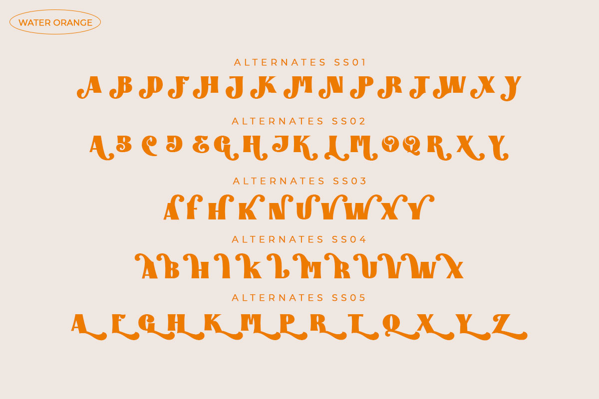 Water Orange All Caps Serif Vintage Font - Image 9