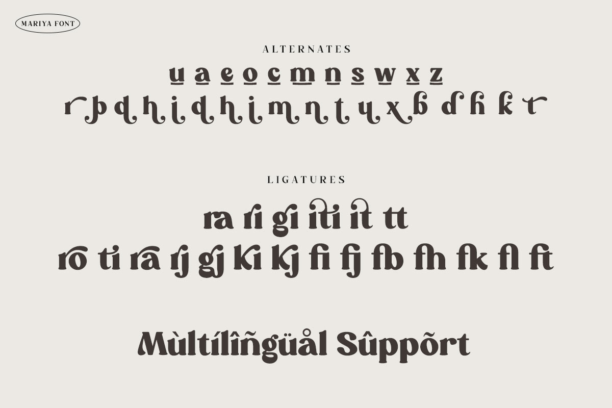 Mariya Serif Vintage Font - Image 9