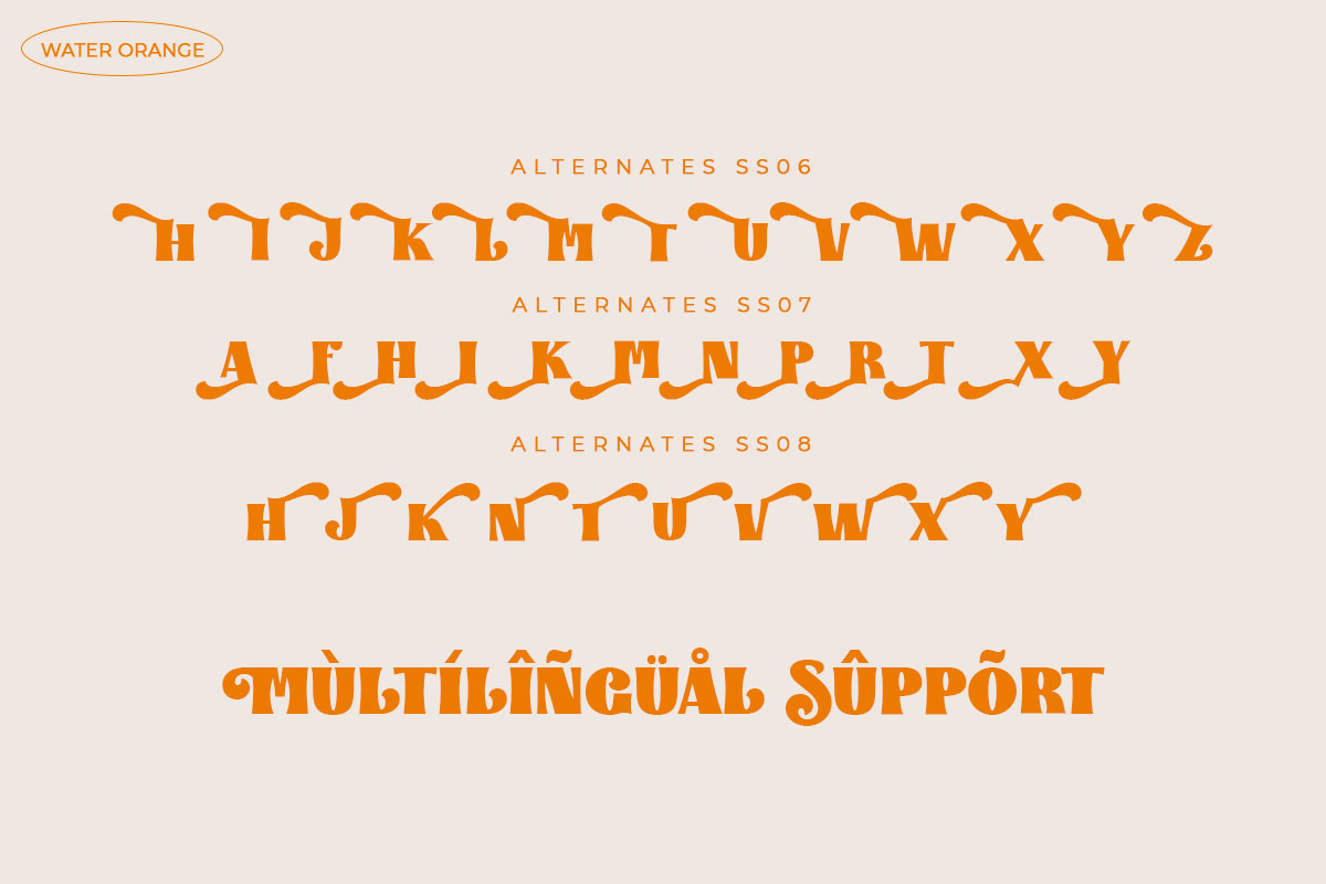 Water Orange All Caps Serif Vintage Font - Image 10