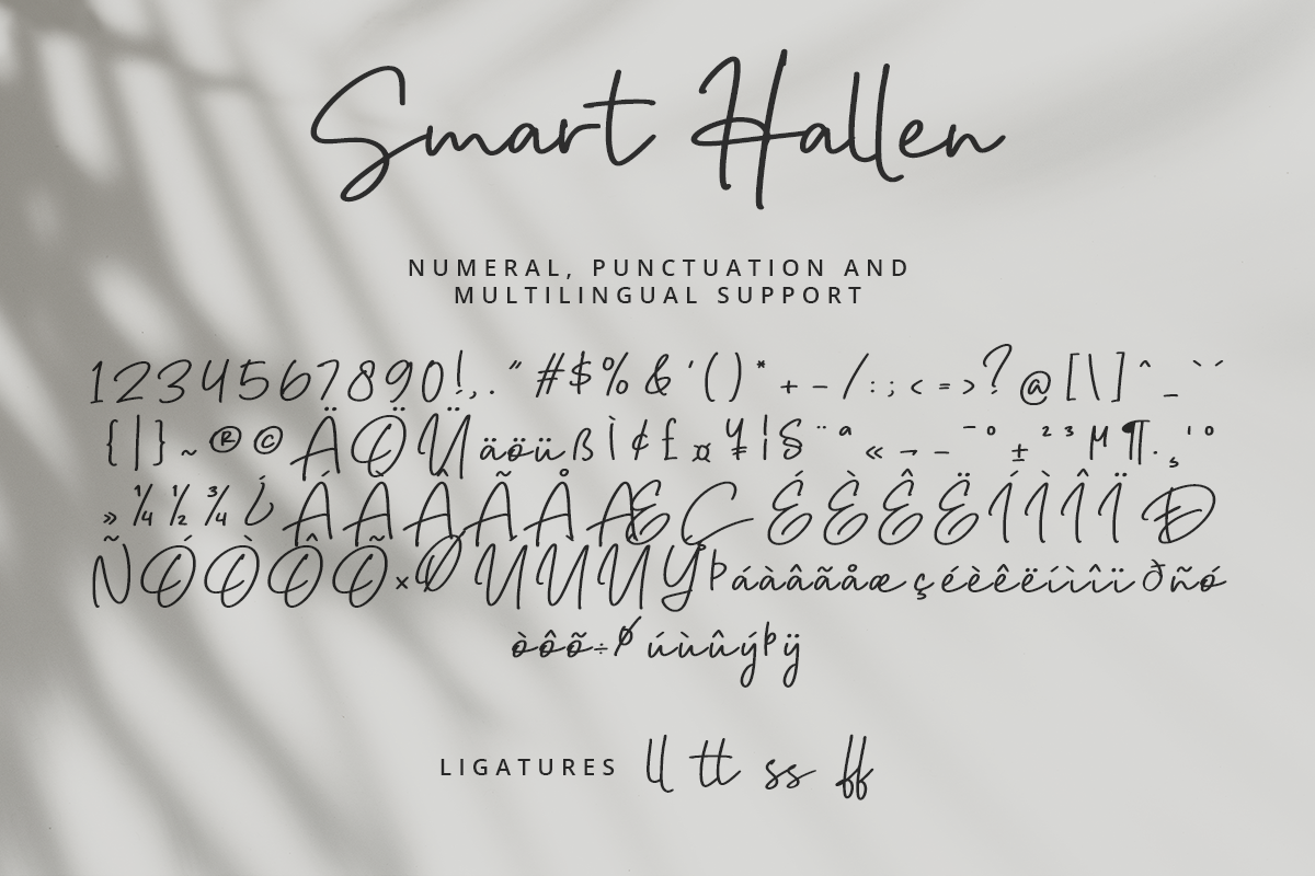 Smart Hallen Modern Script Font - Image 10