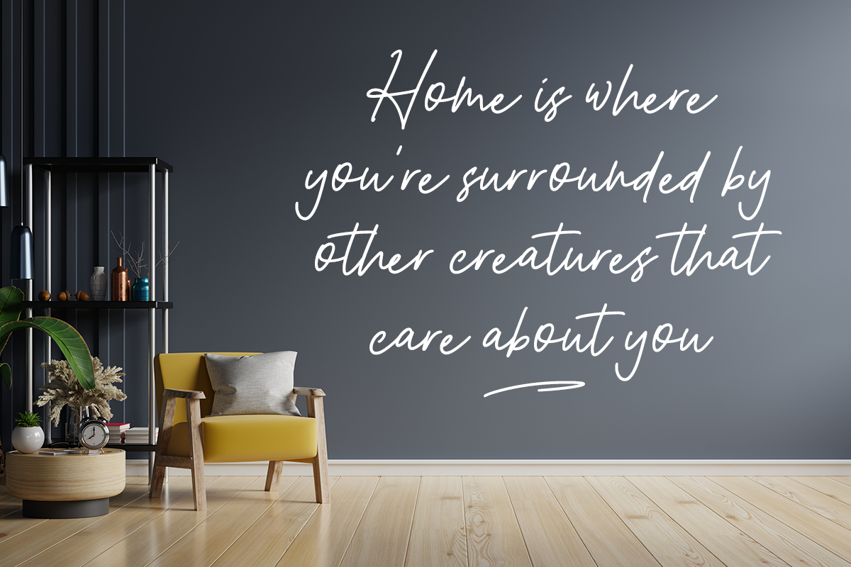 Allvienta Monoline Script Font - Image 6