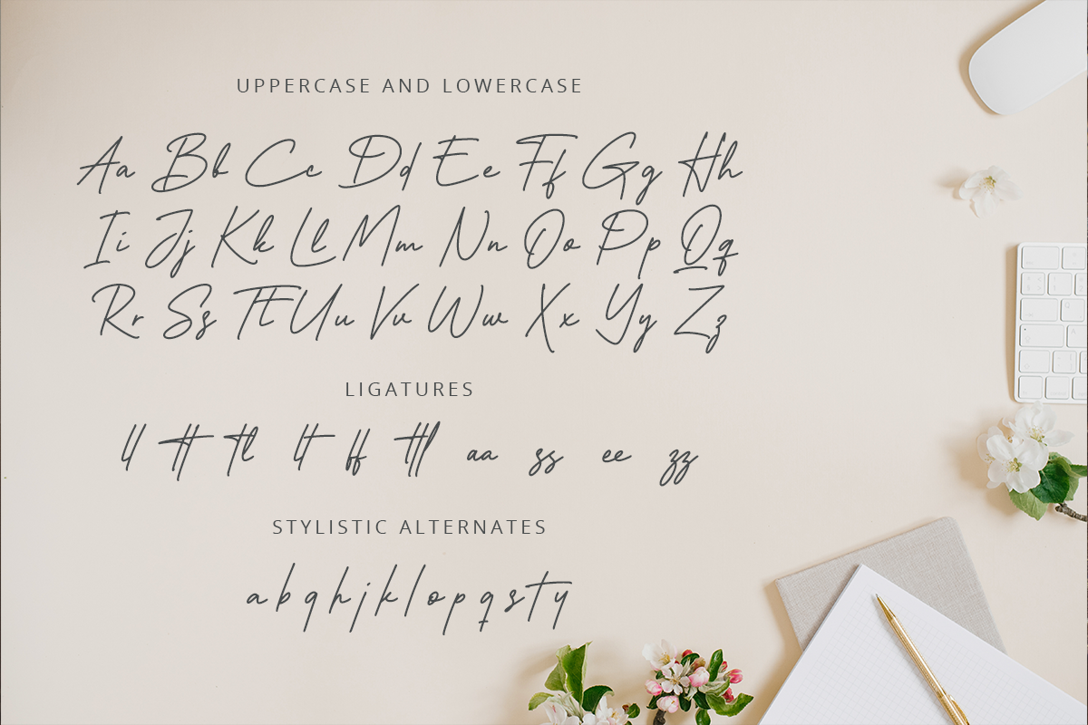 Black Ashpalt Monoline Script Font - Image 9