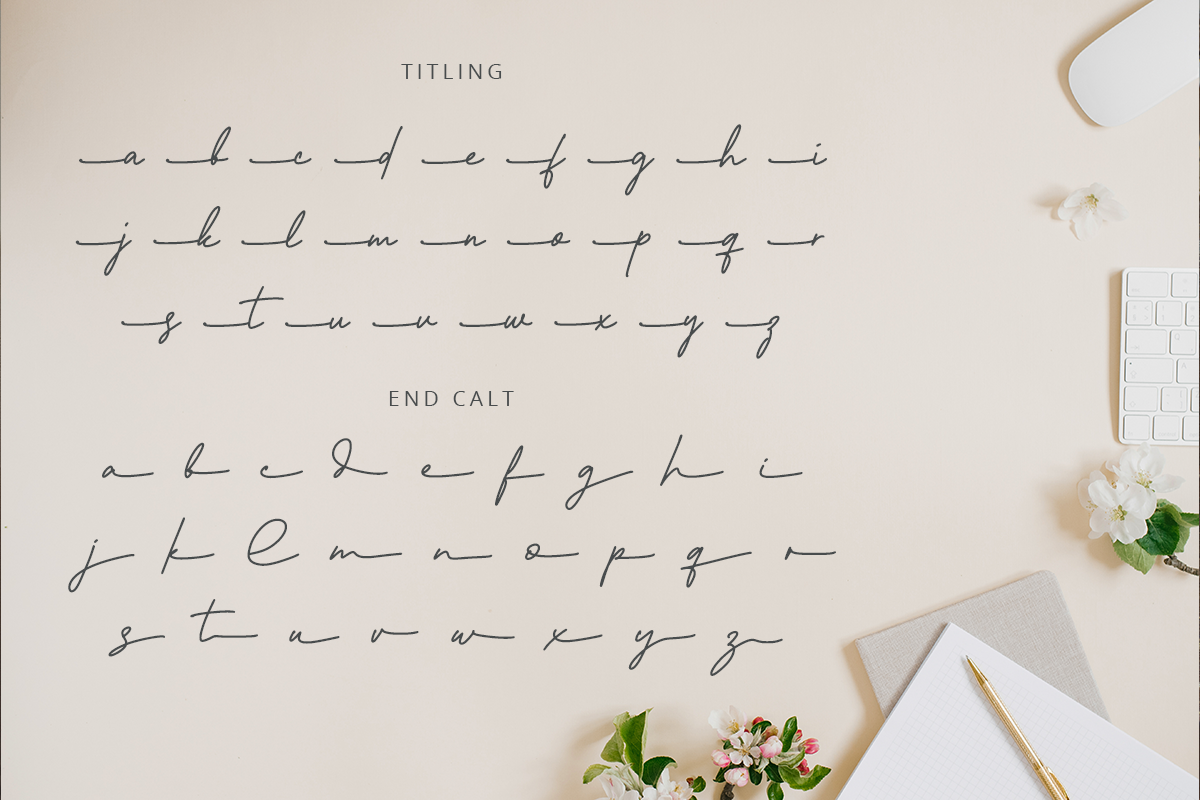 Black Ashpalt Monoline Script Font - Image 10