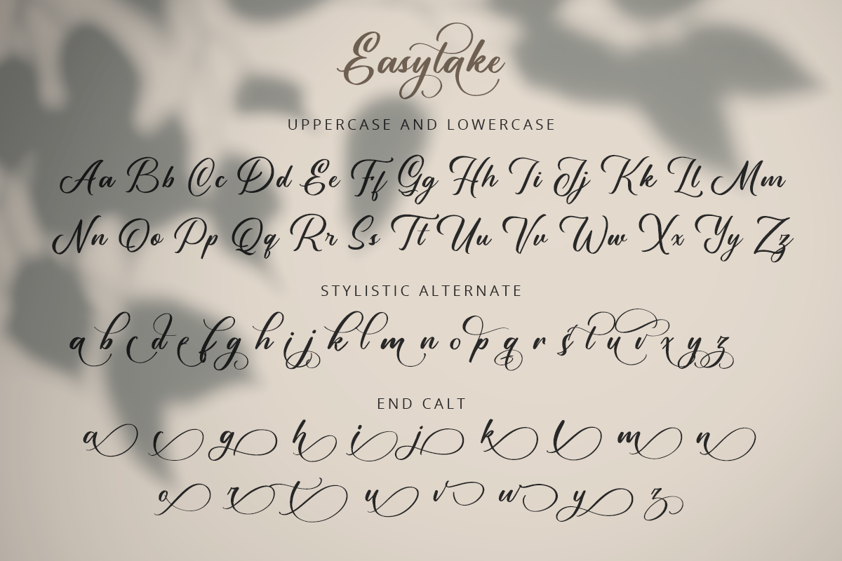 Easytake Modern Handwritten Script Font - Image 8