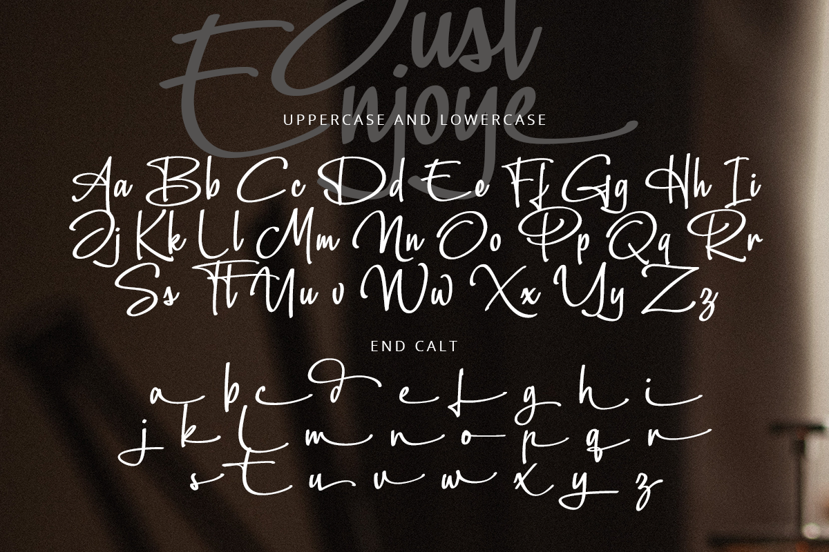Just Enjoye Handwritten Script Font - Image 8
